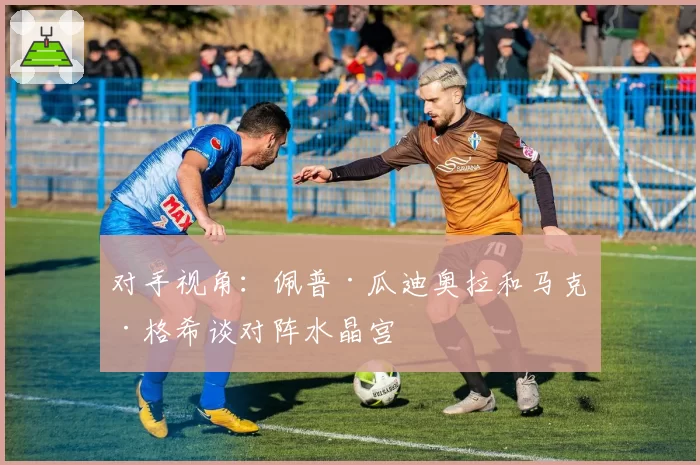 对手视角：佩普·瓜迪奥拉和马克·格希谈对阵水晶宫